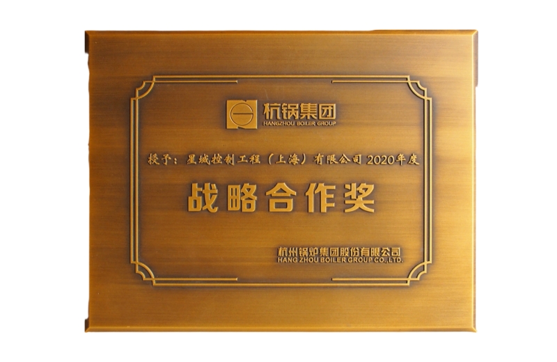 娱乐革命先锋荣获2020年度战略合作奖